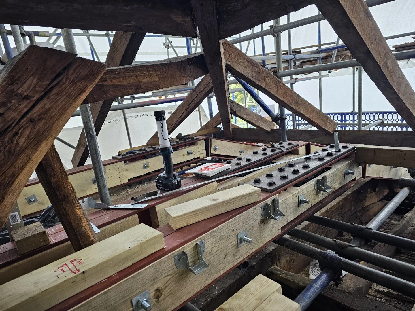 20241029_105939 (1).jpg