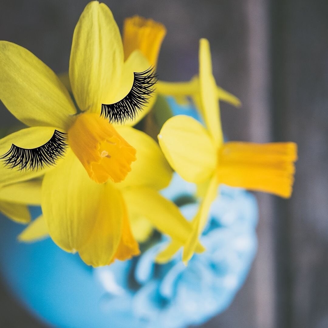 We&rsquo;ve made it to March!

We have a lot to look forward to and be grateful for. Firstly it&rsquo;s #stdavidsday, so to all my Welsh friends, I hope you have a feast planned.  March is also the month Spring officially begins, one of my favourite 