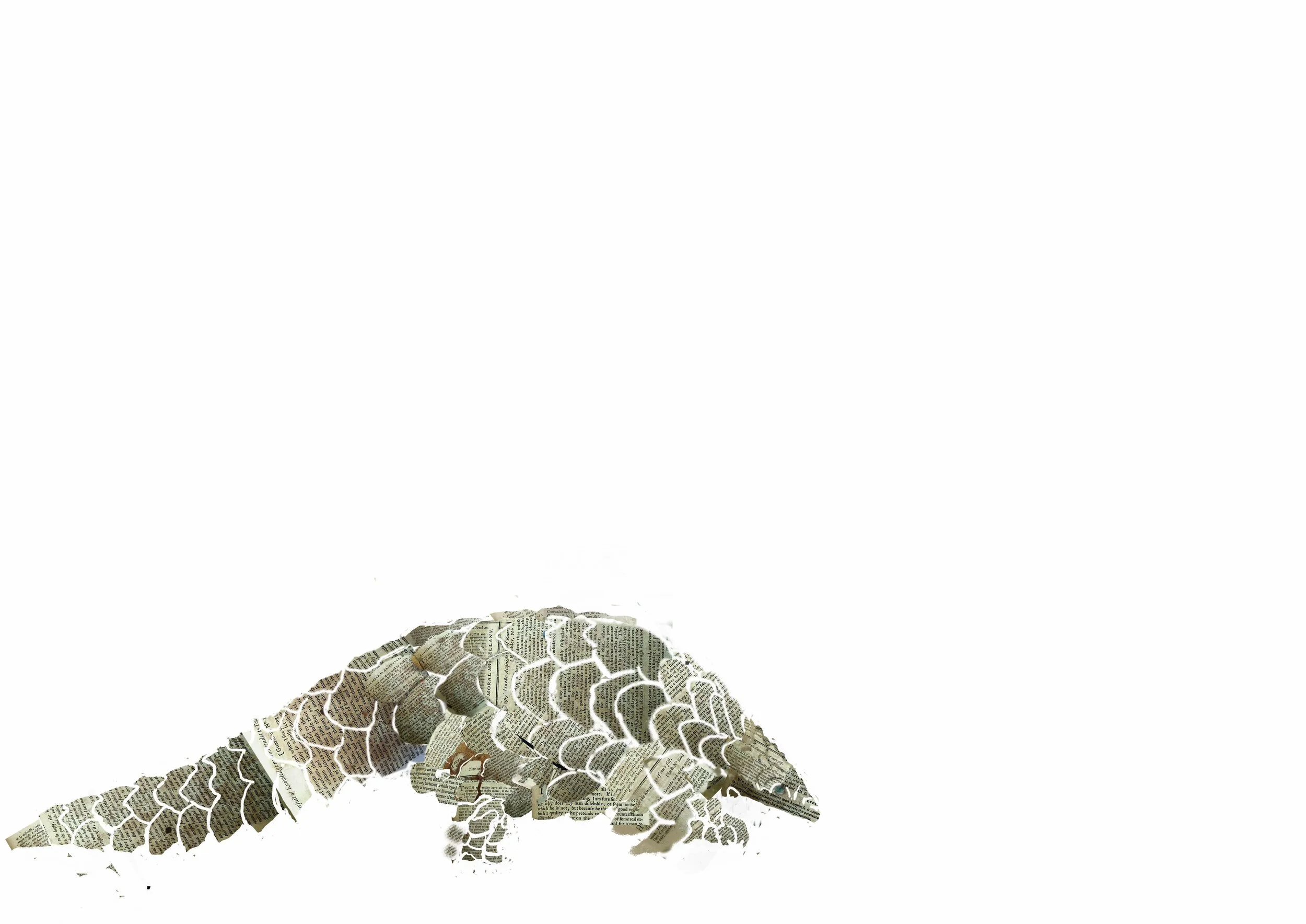 DIGITALLY COLLAGED PANGOLIN 
