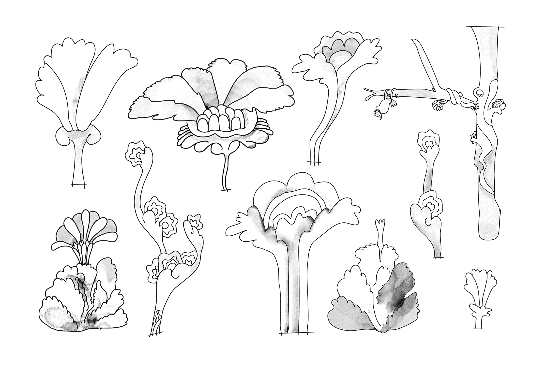 henrys-groovy-plants-flash-sheet.gif