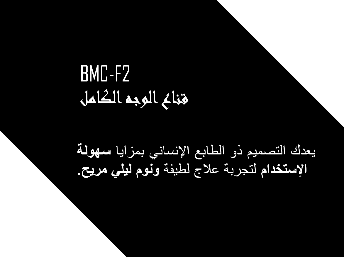 F2 FULL FACE MASK AR .PNG