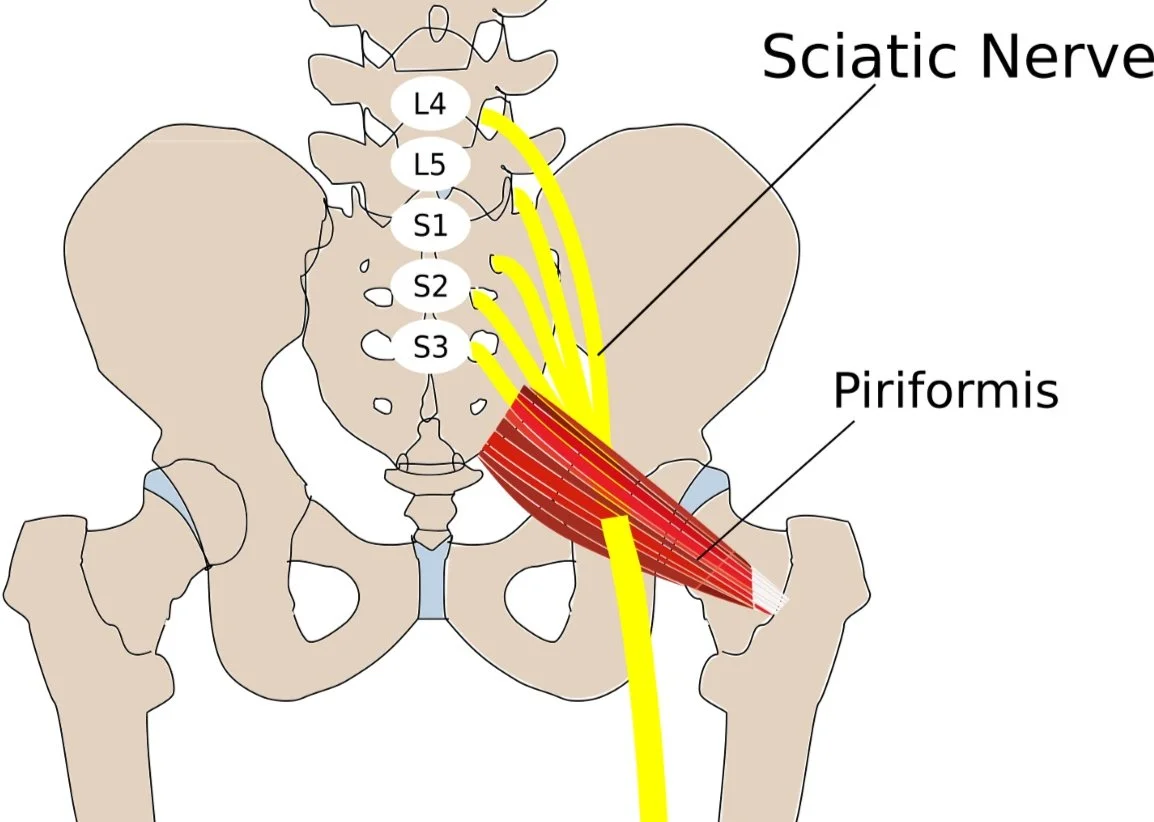 Do you feel pain in your a$$?