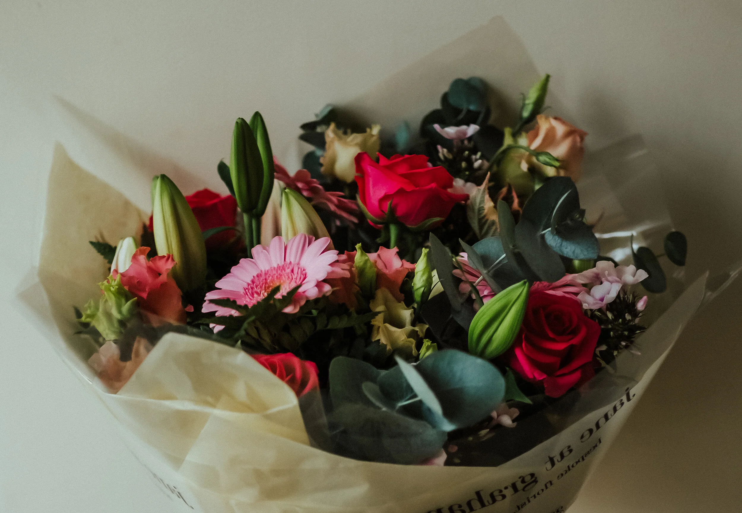 JaneNov19-5 resize.jpg