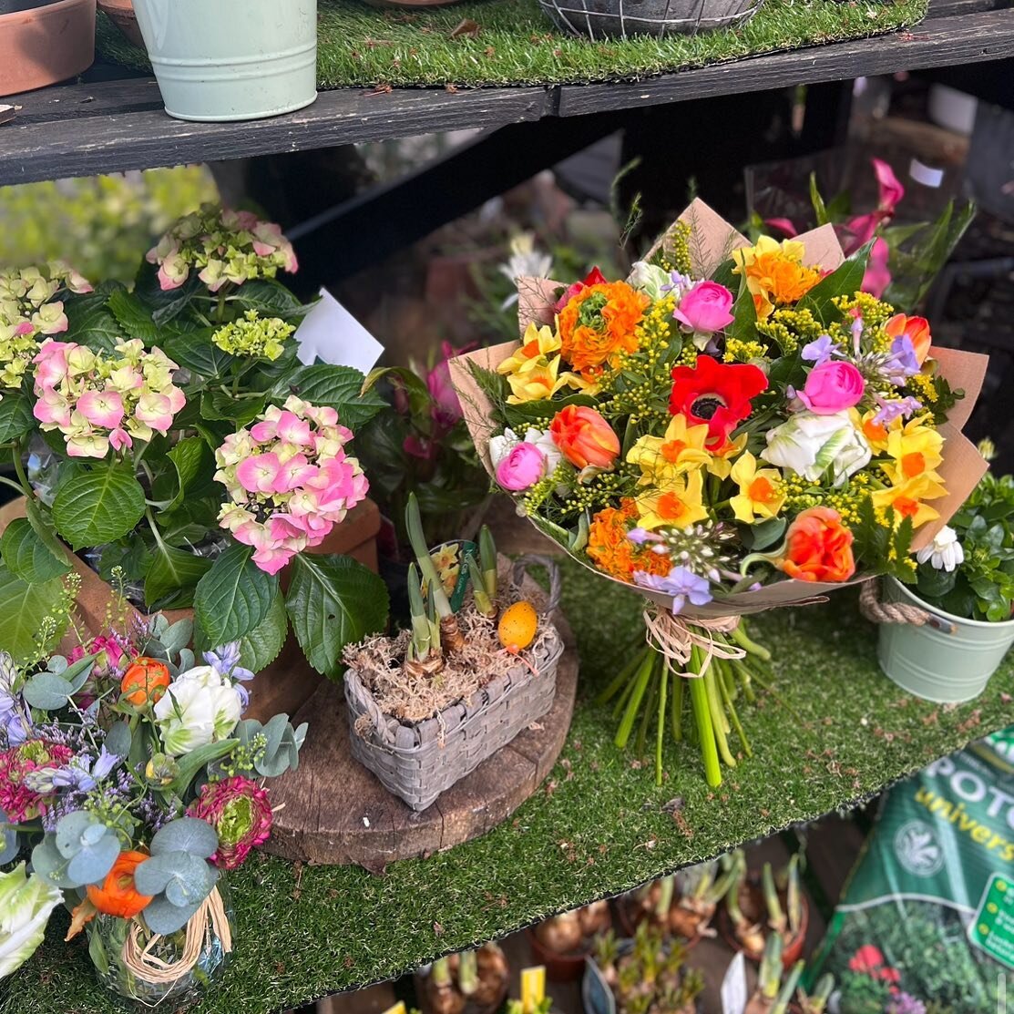 Easter goodies available this weekend!🐣
We are open all bank holiday weekend 10-4 on Friday, Sunday &amp; Monday and normal hours on Saturday💐 
#easterweekend #easter #florist #spring #springbunches