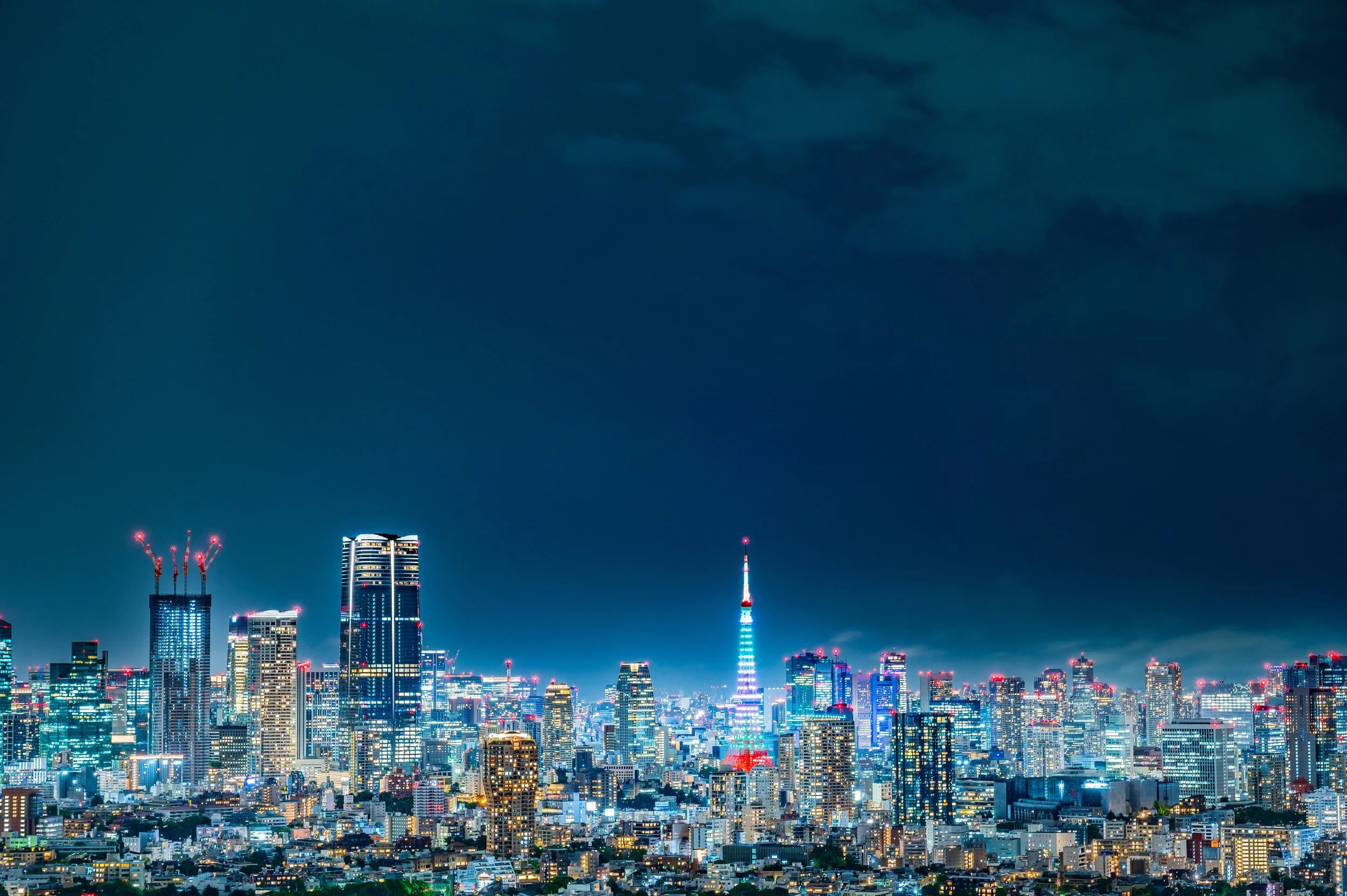 Japan Go IPO Summit