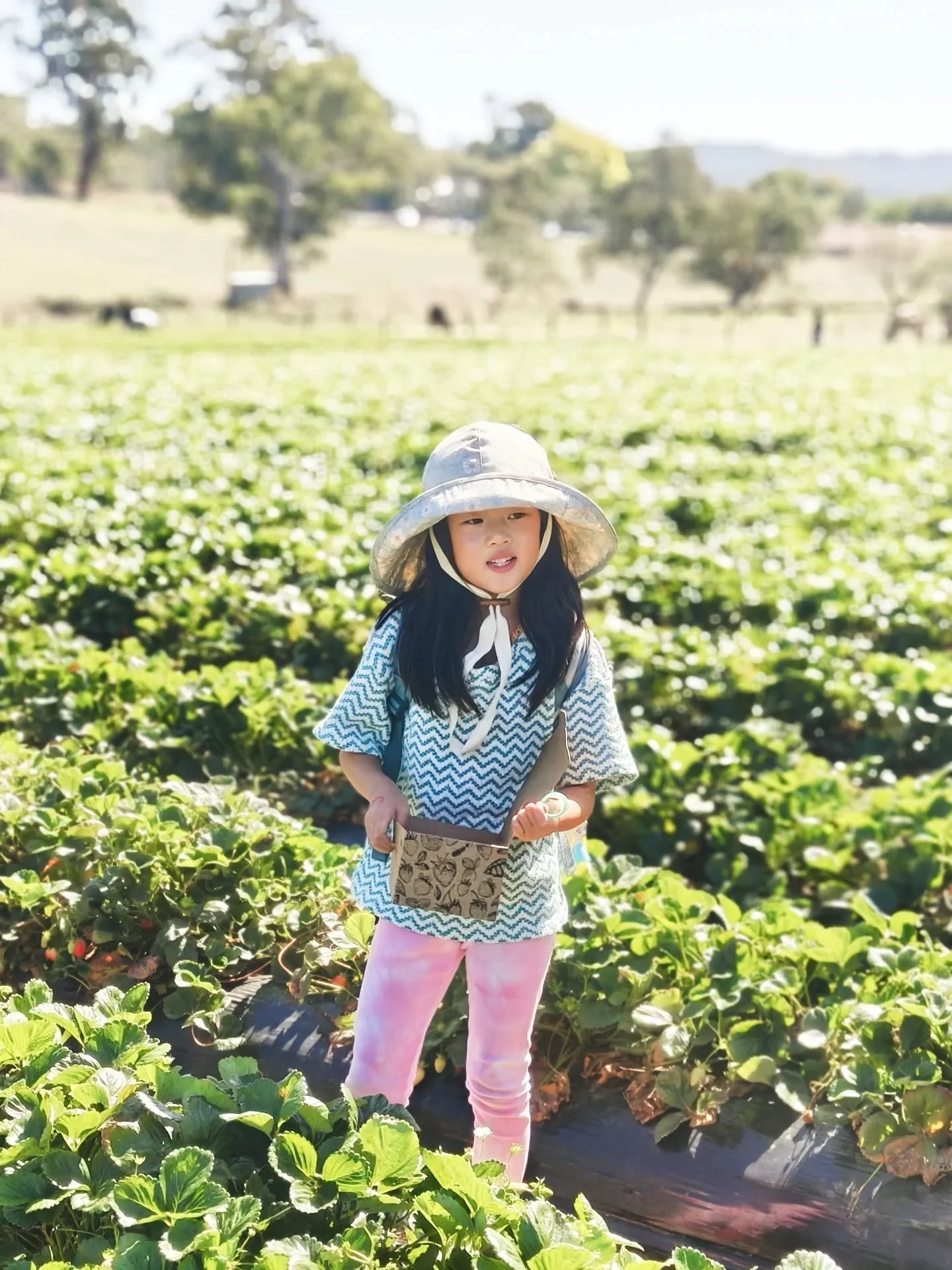 Easter Sunday at @beerenbergfarm with our new Frosted Bloom Wide Brim Hat. 
.
.
#strawberries #beerenbergfarm #handmadehat #hats #smallbusinesses
