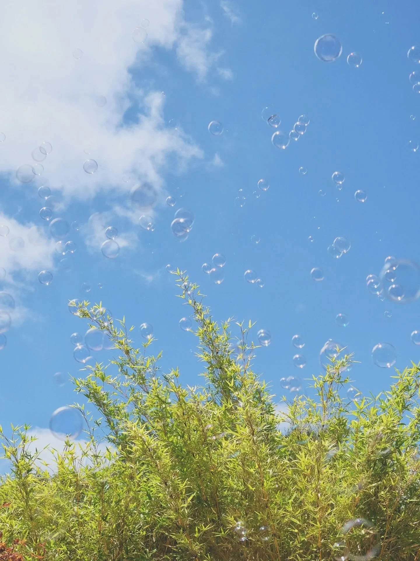 Thank you so much for every single order - my heart is so full from all your love and support ❤️🙏

A little heads-up: any orders placed after yesterday won&rsquo;t be fulfilled until we&rsquo;re back to sewing on May 9th.
I&rsquo;ll be stitching awa