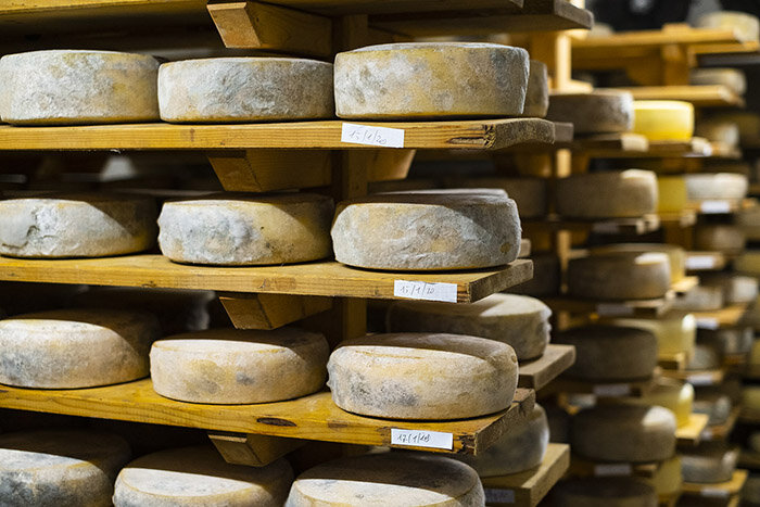 Traditioneller friulanischer Käse der Fattoria Zoff (Copia)