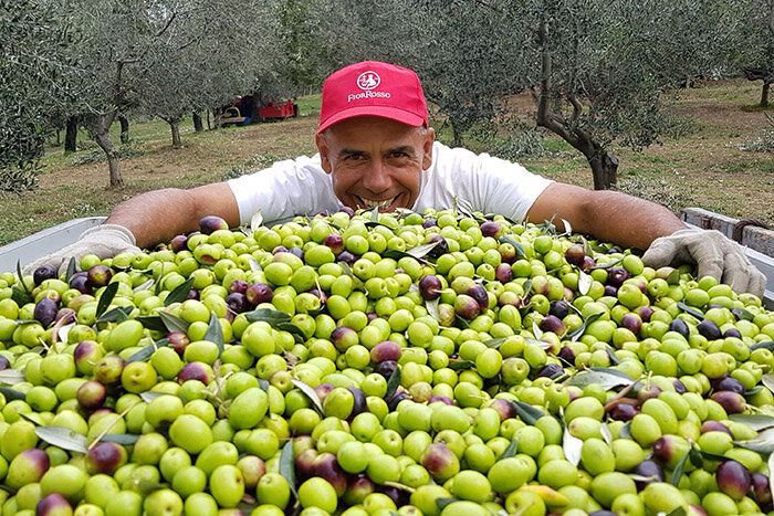 Gioacchino und seine fantastischen Oliven (Copia)