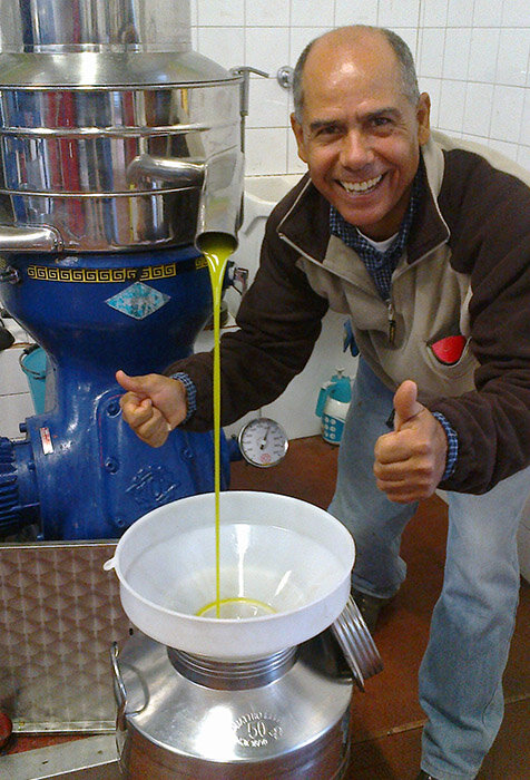 Das frische Olivenöl aus der Bianchera-Belica Olive (Copia)