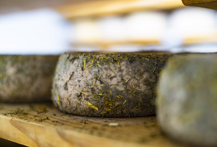 Bio-Käse aus der Fattoria Zoff in Cormons (Copia)