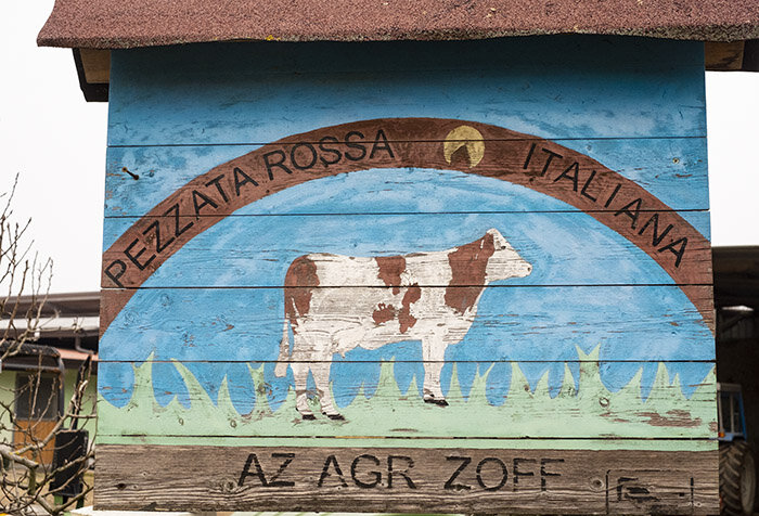 Die Zucht der "Pezzata Rossa" Kühe am Bauernhof Zoff (Copia)