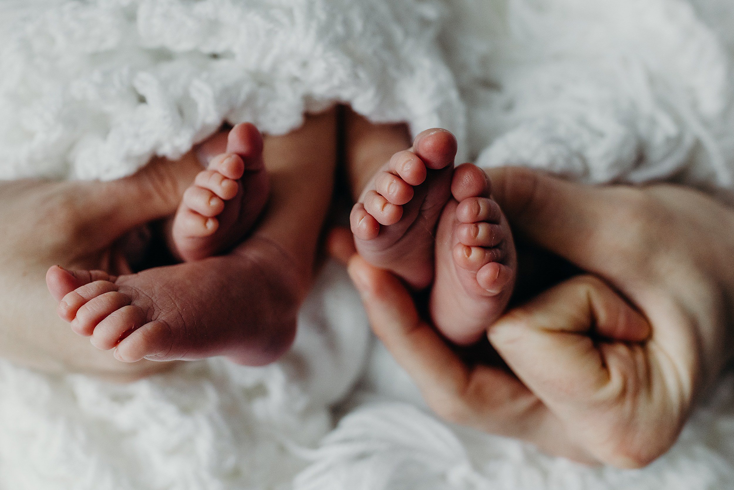 twin babies tiny feet being held by their dad during a newborn photo session glasgow