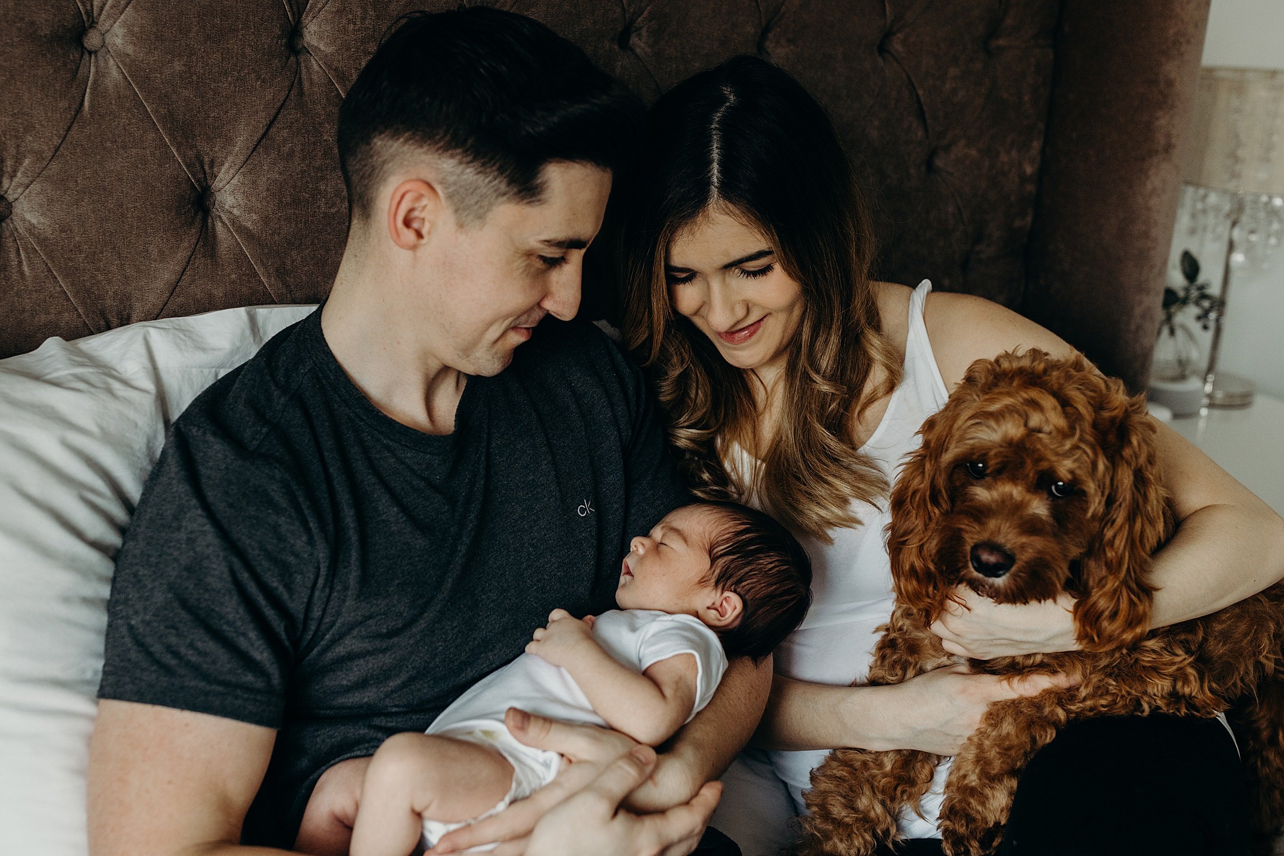 newborn photography glasgow shot of mother father baby and brown dog sitting together on a bed