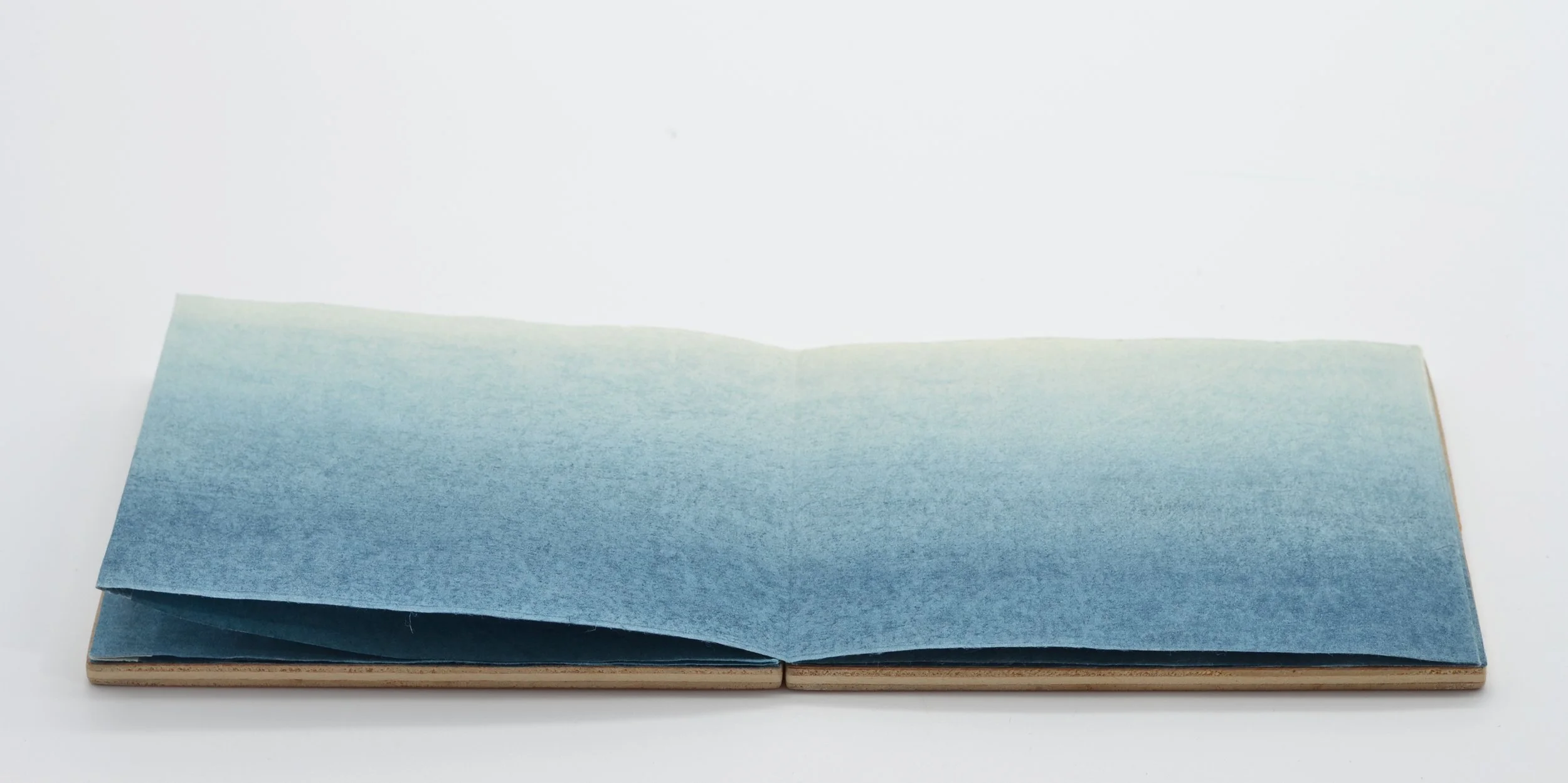 Fields Of Blue (detail)