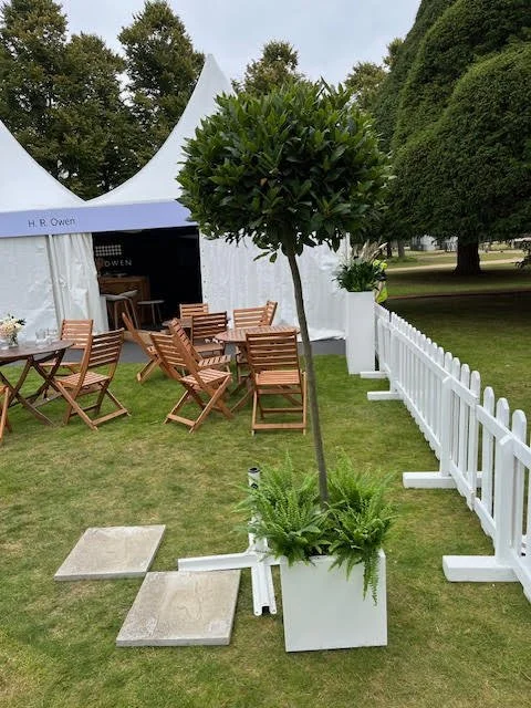 Cubed planter - Hampton Court.jpg