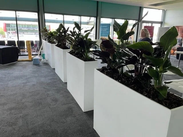 Tastes of Better, Manchester. 2023