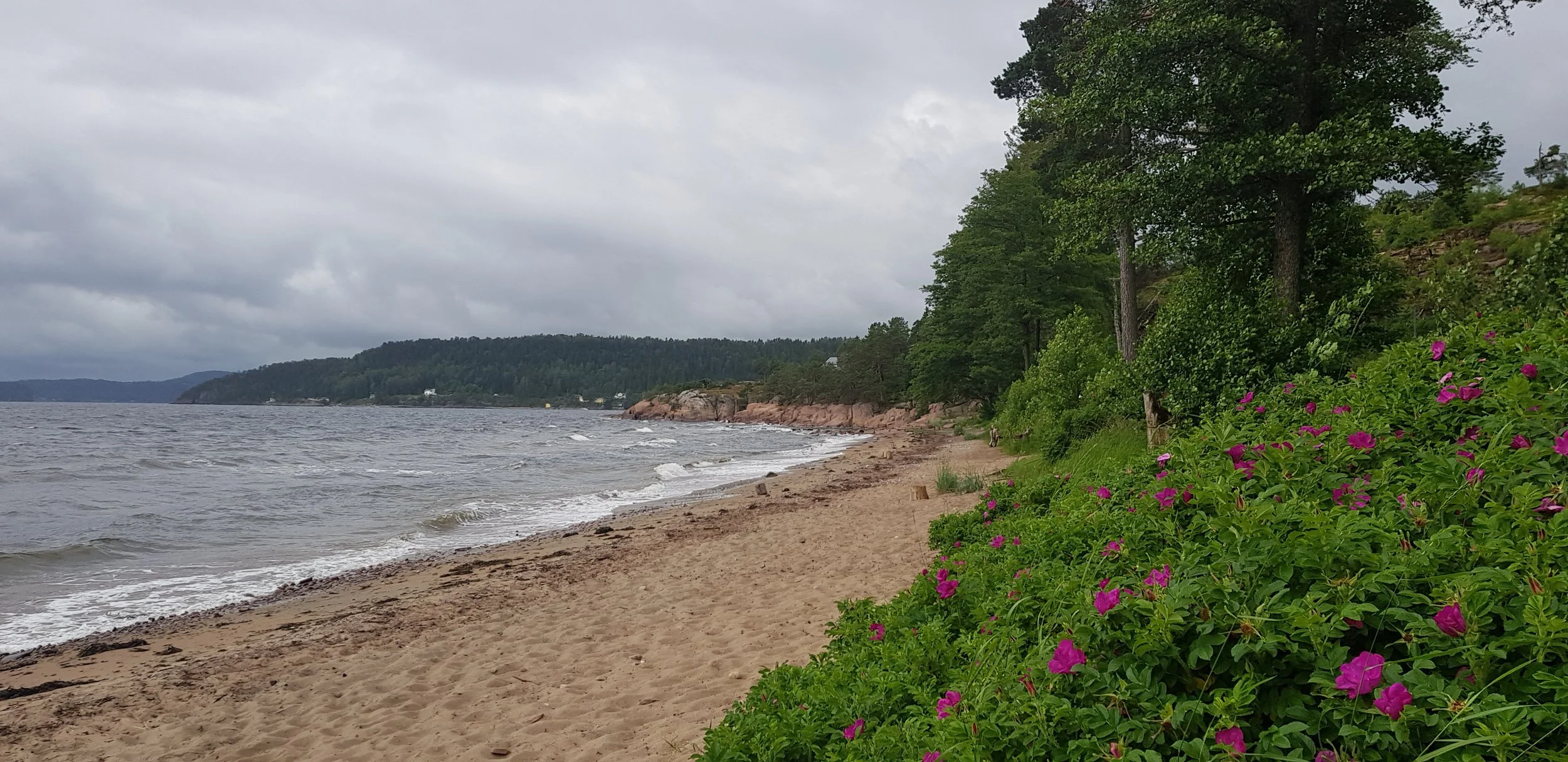 Badevannsprøver for Færder, Holmestrand og Tønsberg, juli 2024