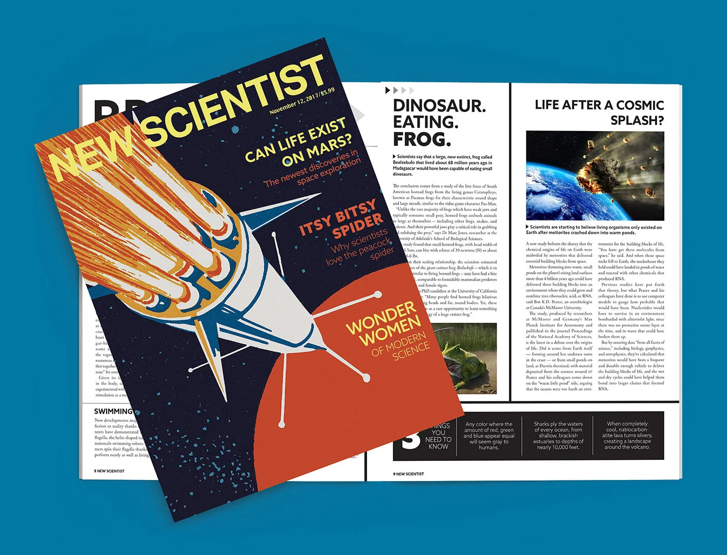 EDITORIAL.BRIEF-new sci mag-mock up.jpg