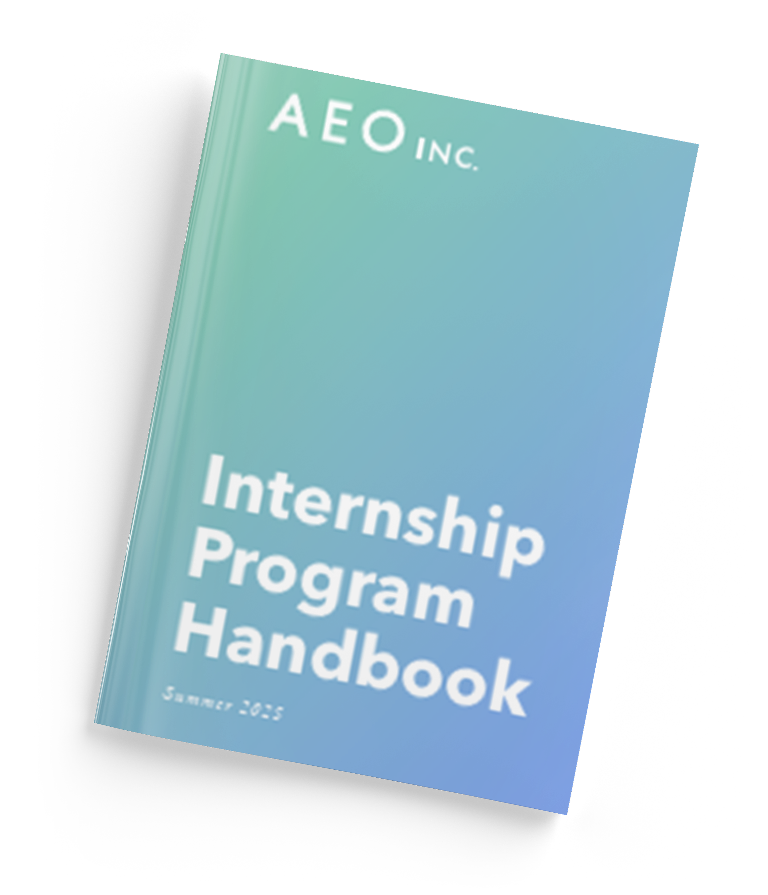 intern workbook mockup 3.png