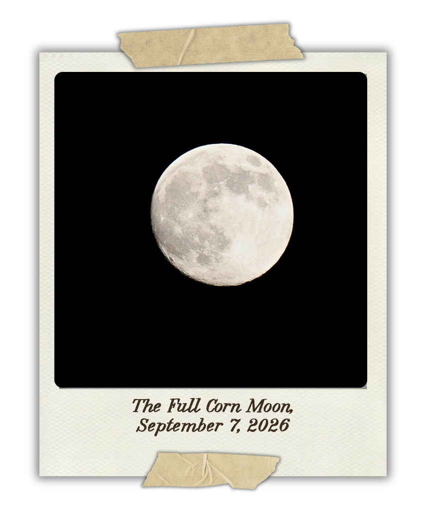 A Corn Moon Cycle Recap