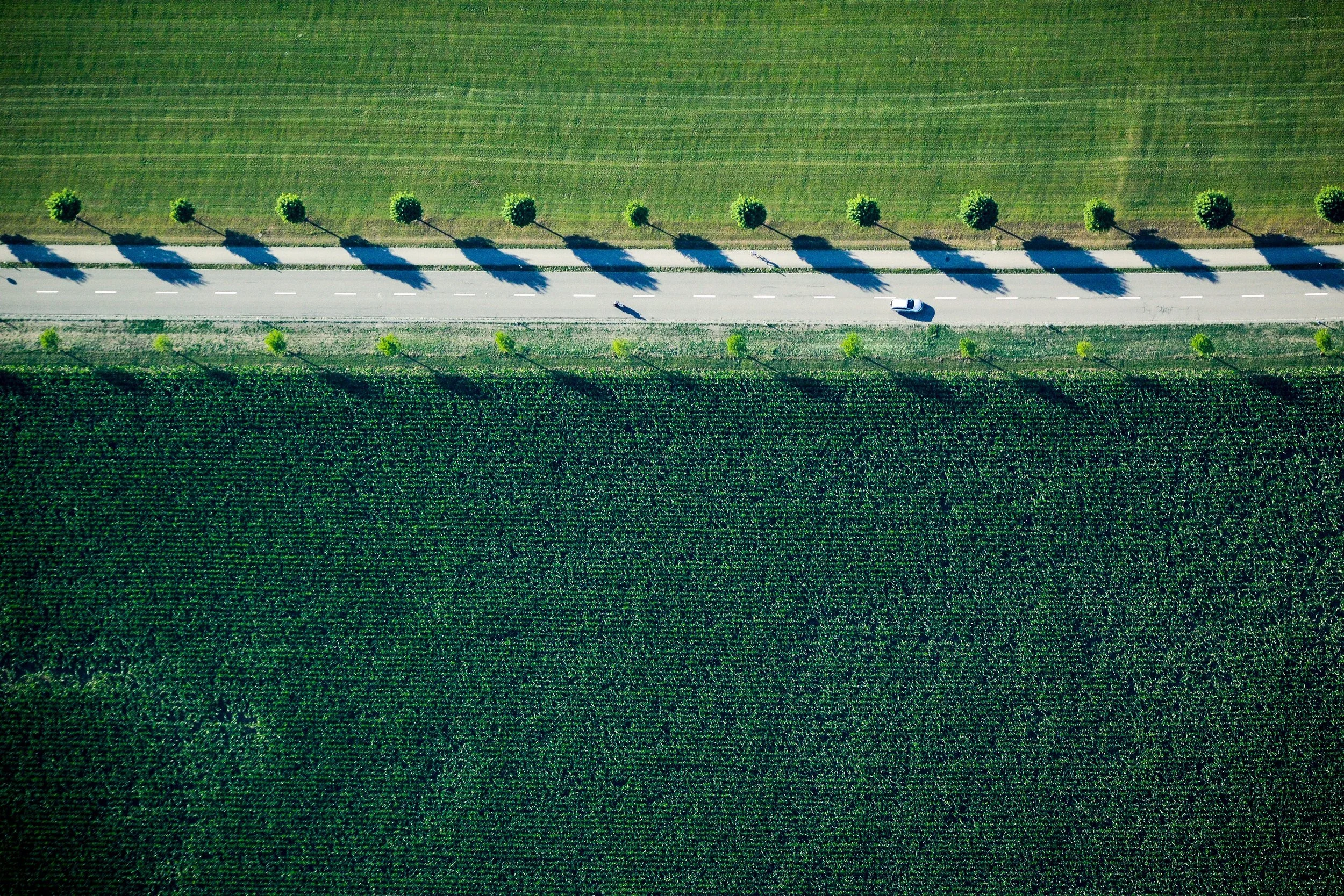 Weekly Roundup | Tactics for Winery Success