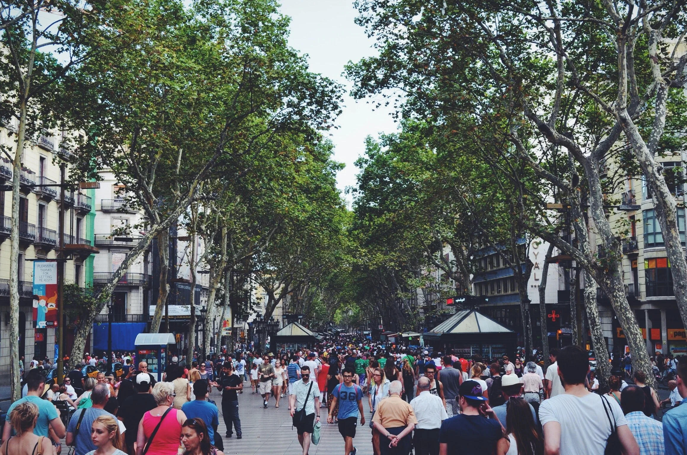 Weekly Roundup | How to Captivate Consumers