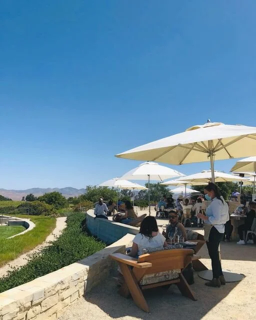 A VineSpring Case Study: Presqu'ile