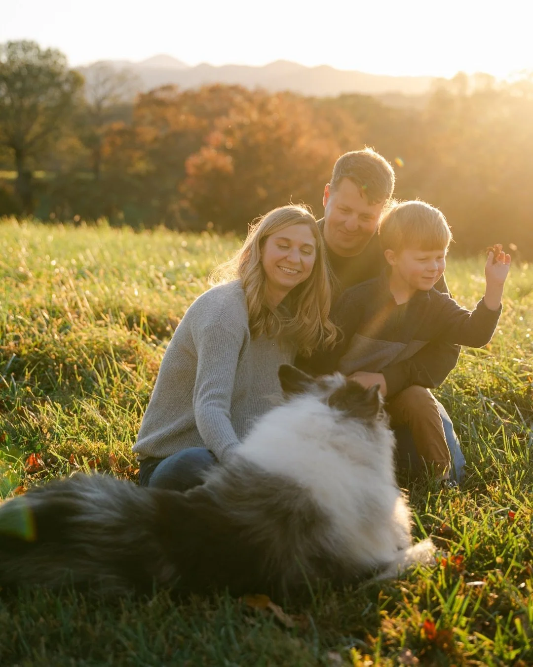So happy I got to photograph this sweet family again this year!  Watching this little guy grow — and seeing him playing with his collie in that perfect golden light at the Biltmore — just melts my heart every time. 
#biltmoreestate #fami