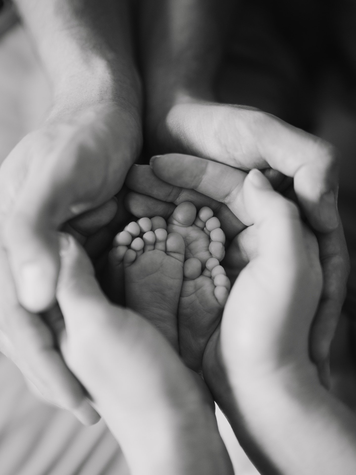 After 8 weeks in the NICU, twenty little toes made their way home. ✨💖

#ashevillephotographer #newbornbabyphotography #twins #twinsofinstagram