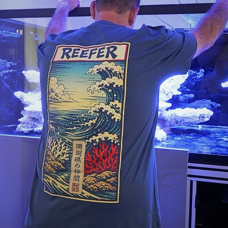 Back Lifestyle.jpg