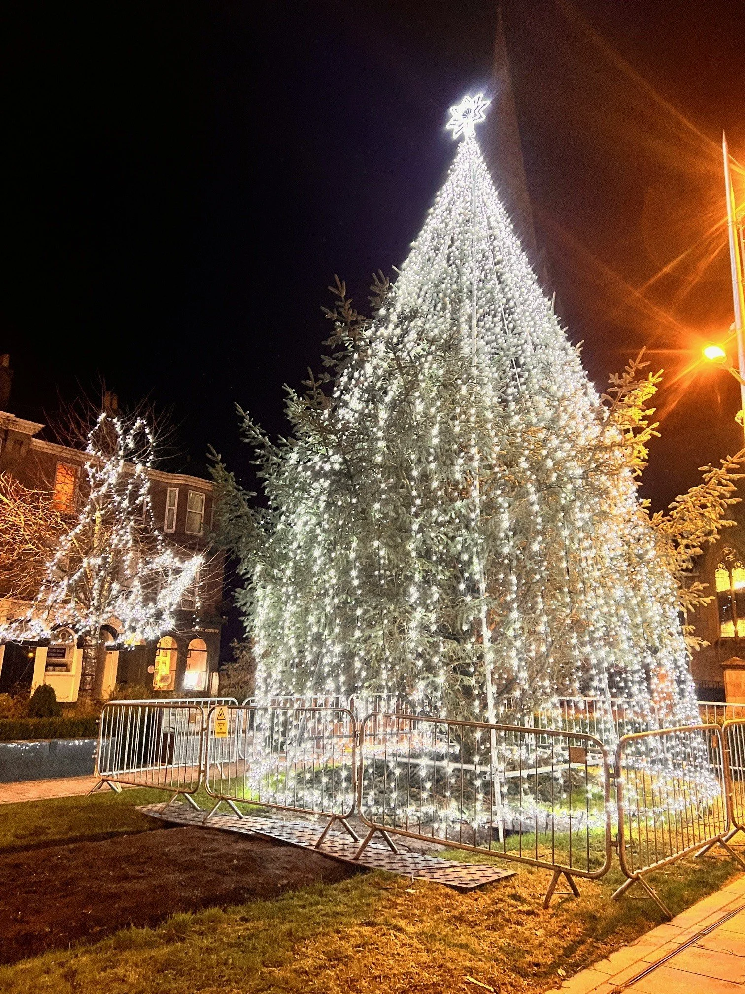 Helensburgh’s Christmas Tree Donated by Luss Estates Company