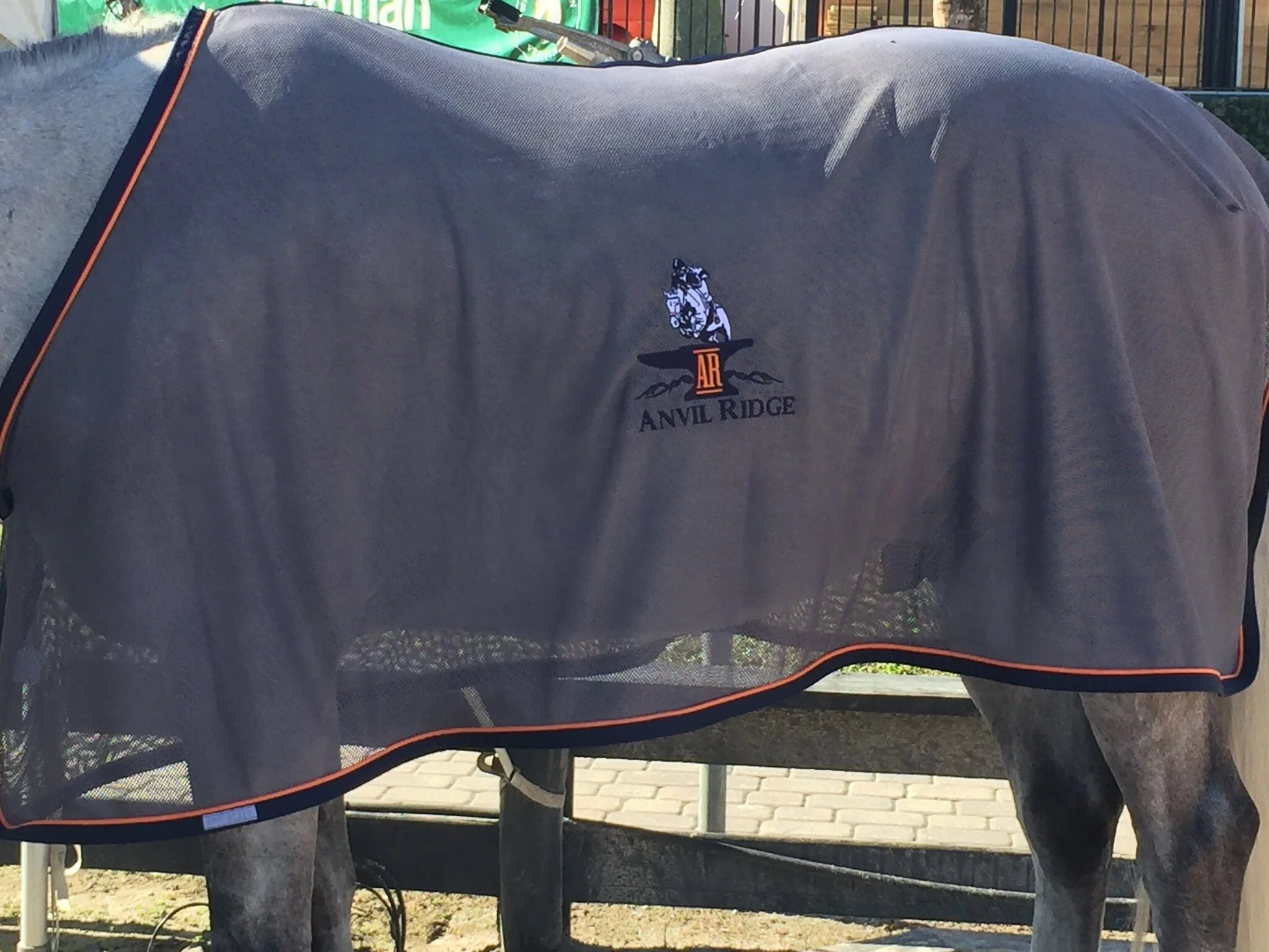 Custom Horse Clothing 