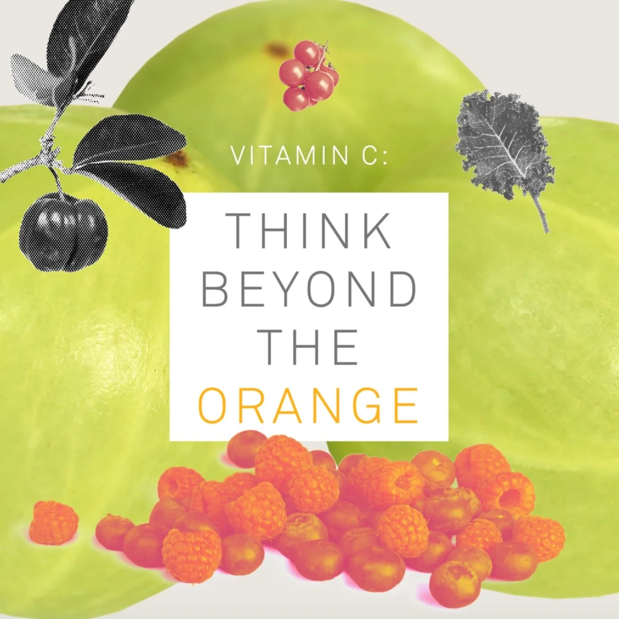 VITAMIN C: A VISUAL GUIDE