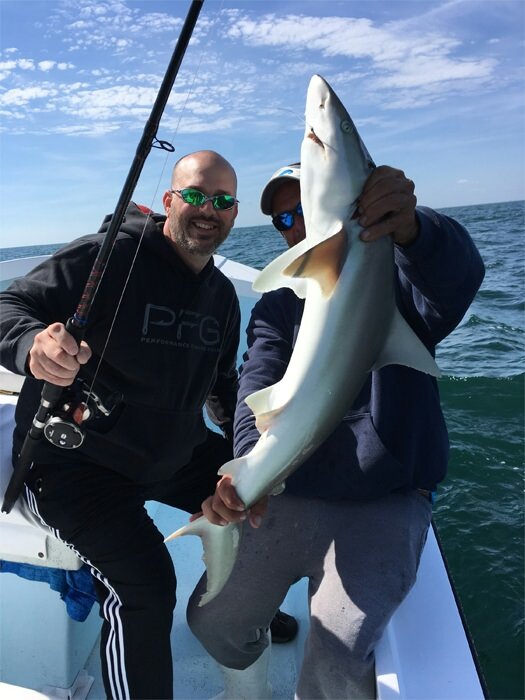 Big Game Shark Fishing, Blue Shark Fishing Charters