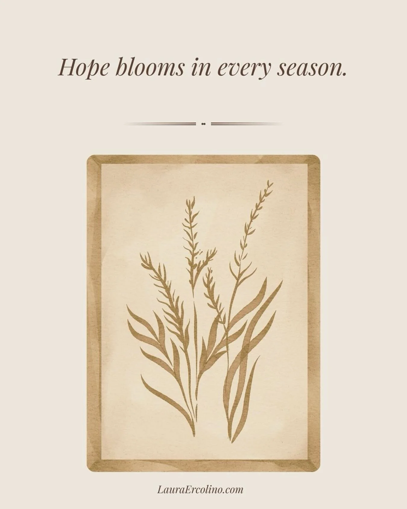 Hope is a flower that blooms in every season.

Lauraercolino.com