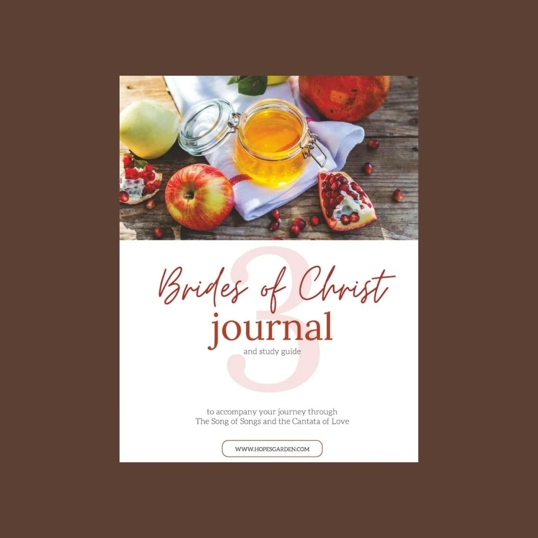 Brides of Christ 3: Song of Songs Part 3