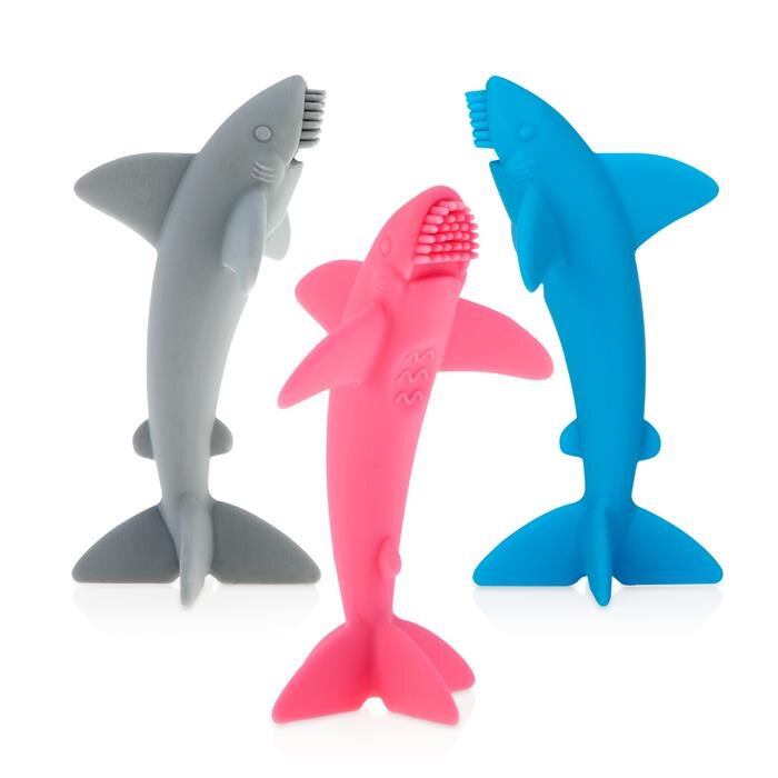 shark1.jpeg