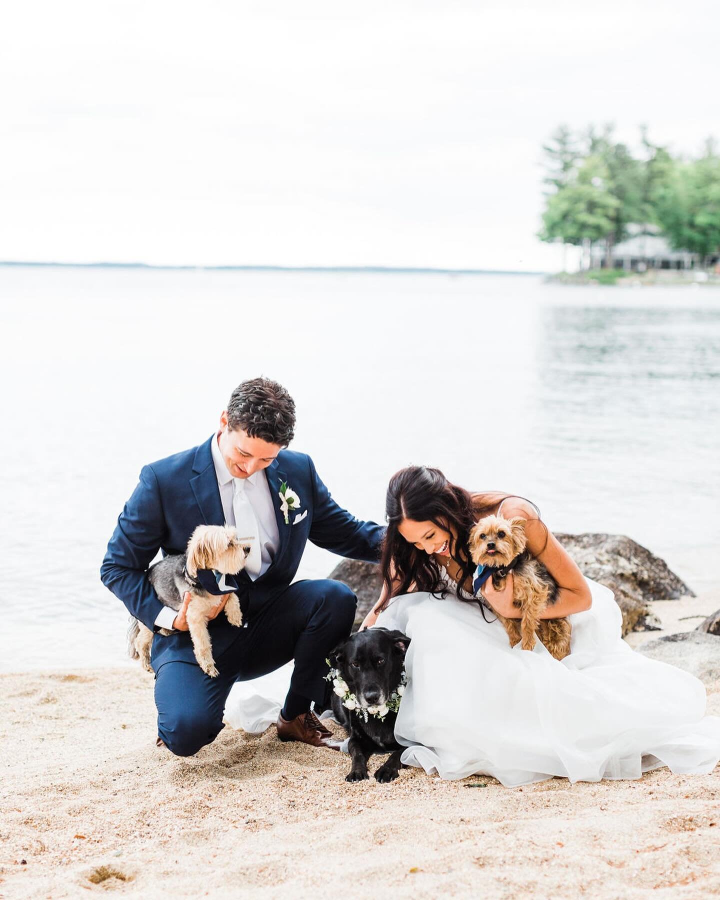 couples portrait GOALS: please let all first looks follow with snuggles with  3 cutey pups, a ride on a gorgeous boat, and a walk on the beach. 💞
.
.
.
📸: @thelibbysphotoandfilms 
venue: @autumnlaneestate 
hair and makeup: @natashathehairfairy 
flo
