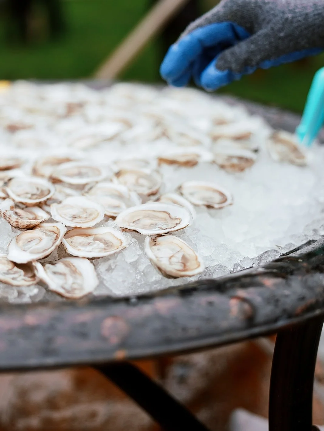 having your maine wedding without oysters is like going to the movies and skipping popcorn, just saying 💁🏻&zwj;♀️

happy national oyster day to all who celebrate! 
.
.
.
team:
planning: @dirigoeventco 
venue: @thebarnonwalnuthill 
catering + oyster
