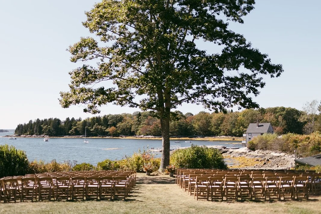 before &mdash;> during &mdash;> after 💫💫💫

we explored multiple locations for the ceremony at the incredible coastal nook that is @floodscove - beach was top of our list but the tides were finicky - and this magnificent tree was framed so ma