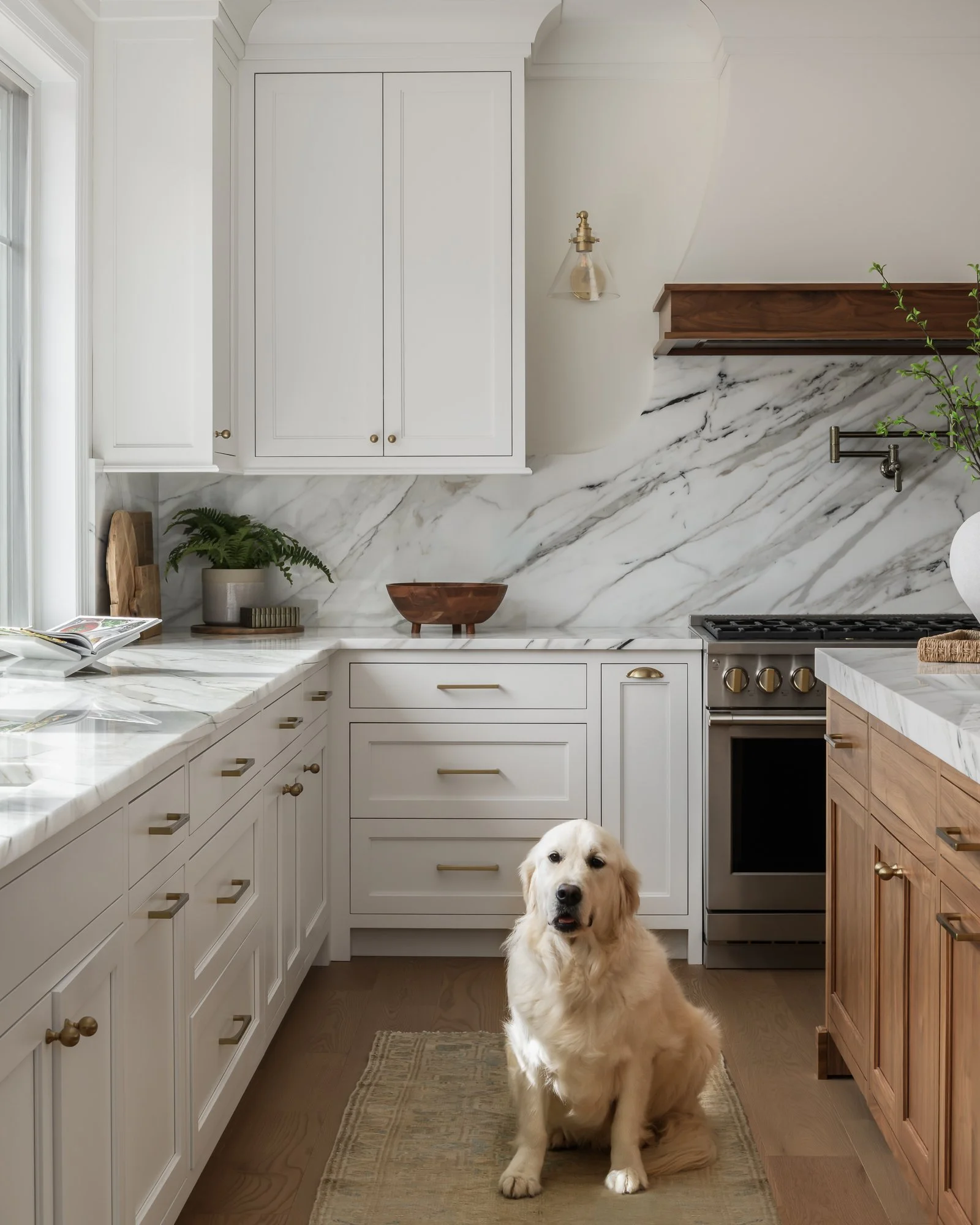 KellyRuggeri_9-16-25_(c) Meghan Balcom Photography_WEB-38.jpg