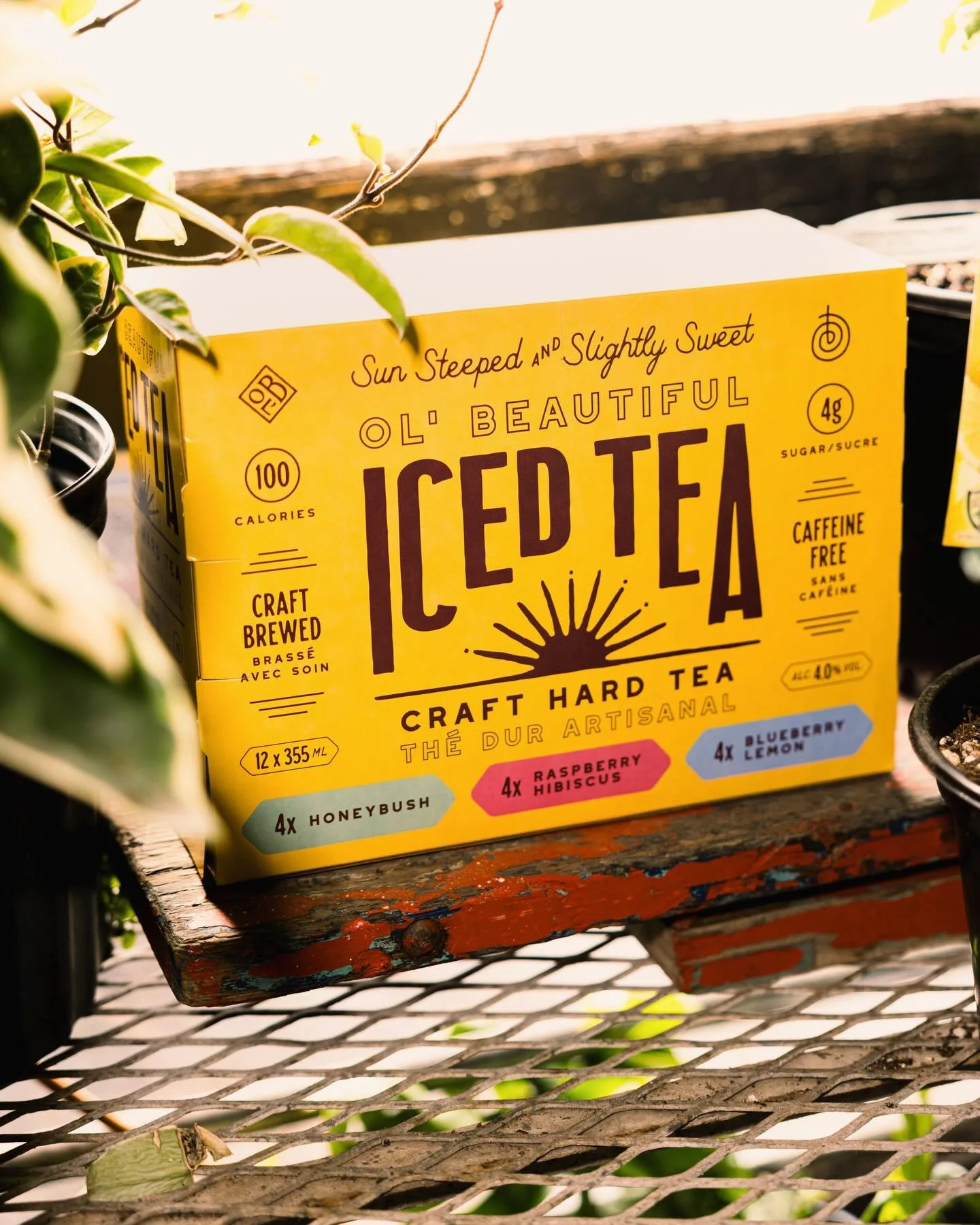SUN STEEPED &amp; SLIGHTLY SWEET

All of our hard iced tea cans - together where they belong! 

Raspberry Hibiscus.
Blueberry Lemon.
Original Honeybush. 

Shot at @plantshopyyc in Inglewood, where everything grows a little better. 

Mix packs are out