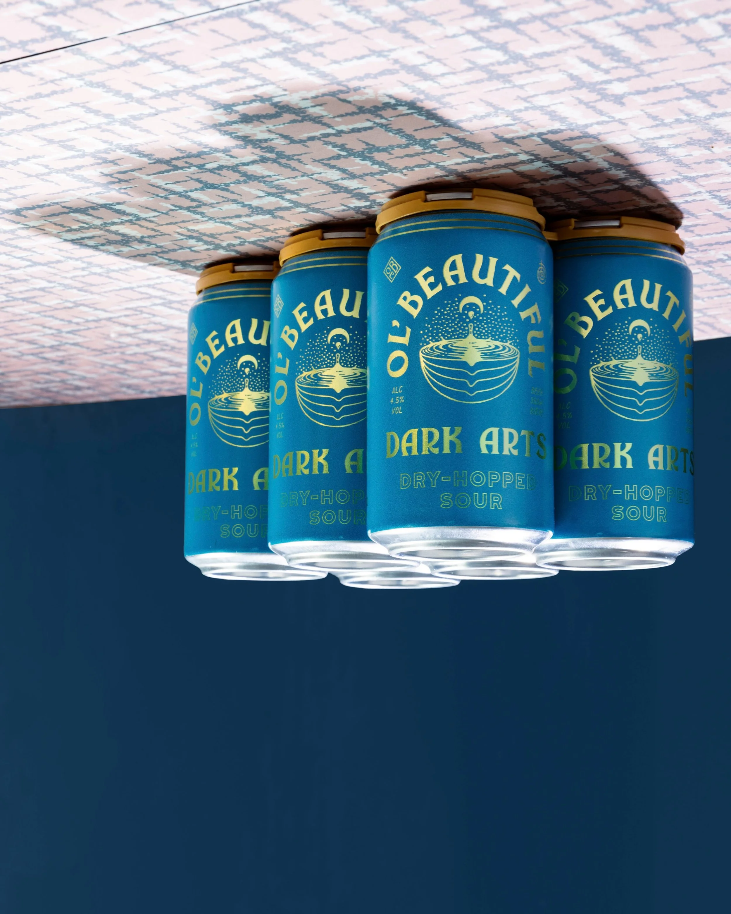 LET&rsquo;S DABBLE 

Ripe mango and peach. Citrus zest and tropical fruit. A soft, pillowy body followed by a bright flash of tartness...

The latest in our Dark Arts series is generously dry-hopped with Azacca, Citra, and Luminosa. This Dry-Hopped S