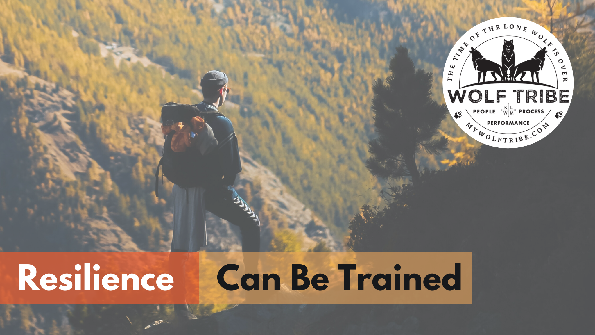 Can Resilience Be Trained? Yes, With A Common Vision