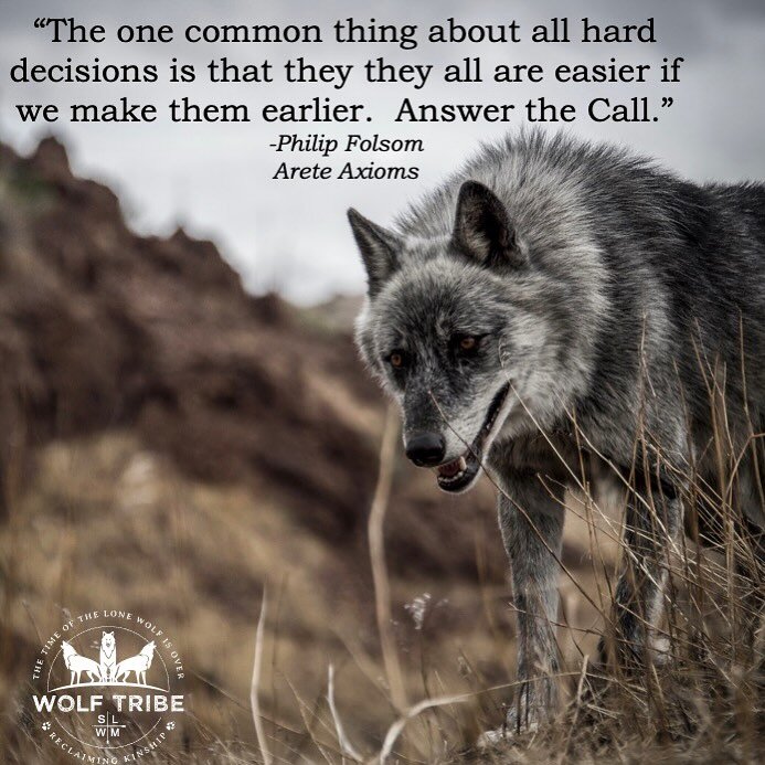 Wolves don&rsquo;t wait. 
Their shared honor culture keeps them safe in a pack so they engage with healthy conflict early and often.  Within a pack they fight but don&rsquo;t bite.

This is the wolf Riggs from the ambassador pack of @apexprotectionpr