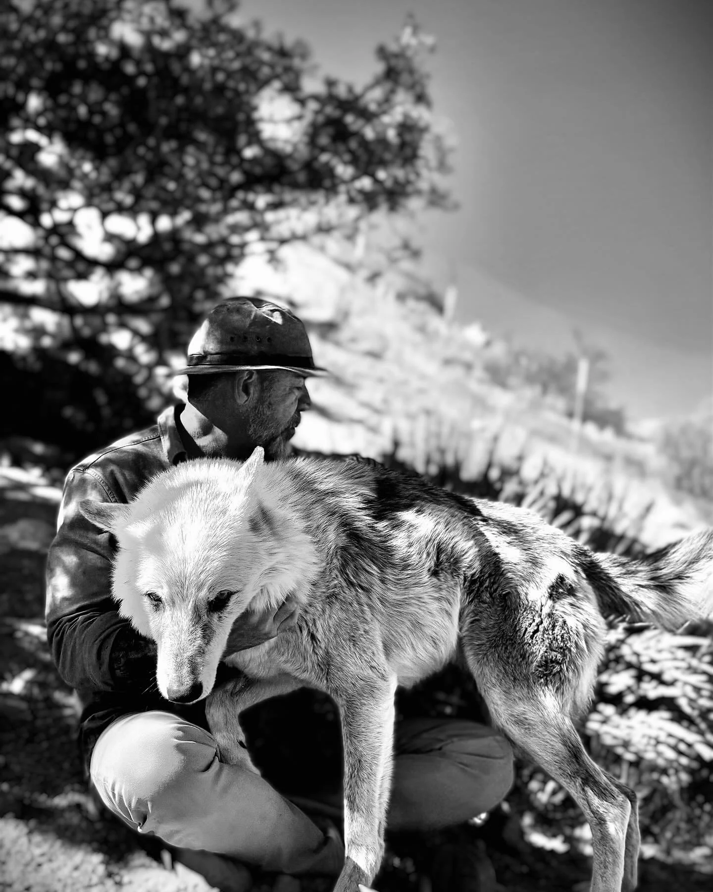 Individuals and cultures separated from the wild go insane.

Huge shout out to our powerful allies @apexprotectionproject for helping to bring the wild back to leaders and work teams with @wolftribeofficial