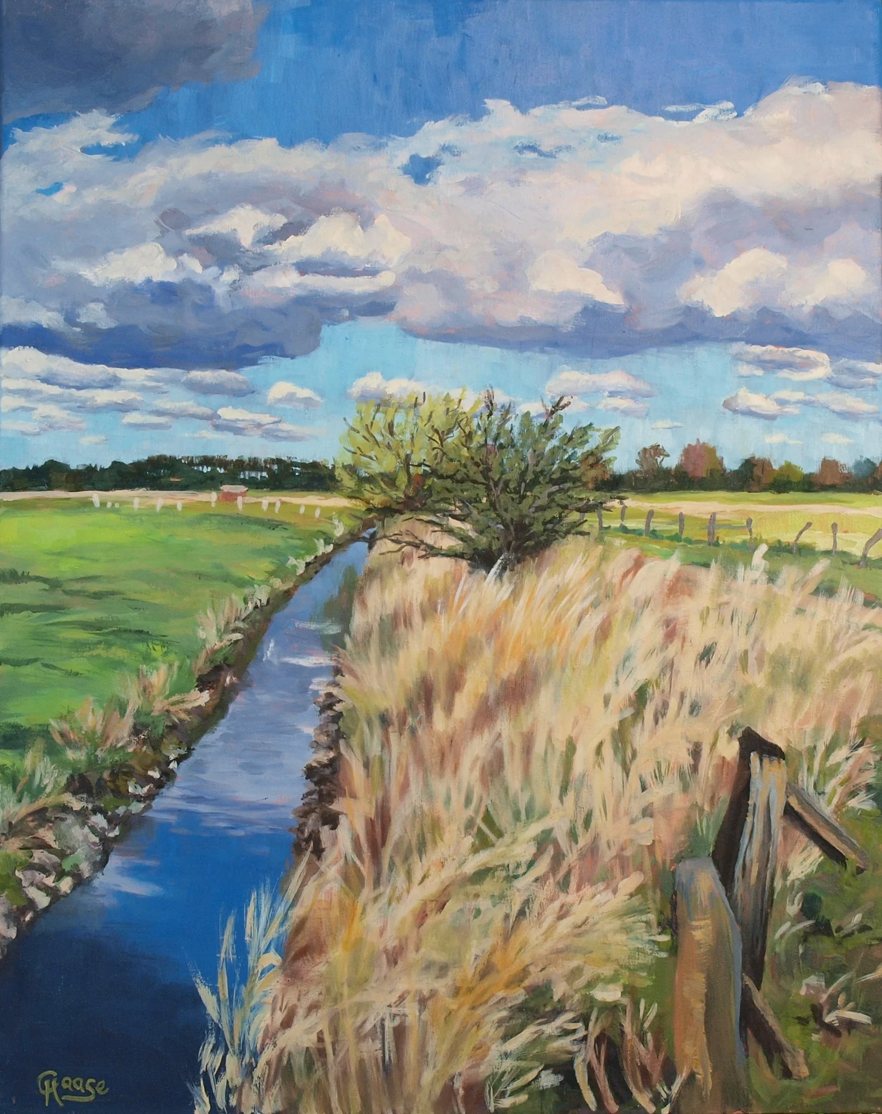 In der Elbmarsch bei Fährmannssand