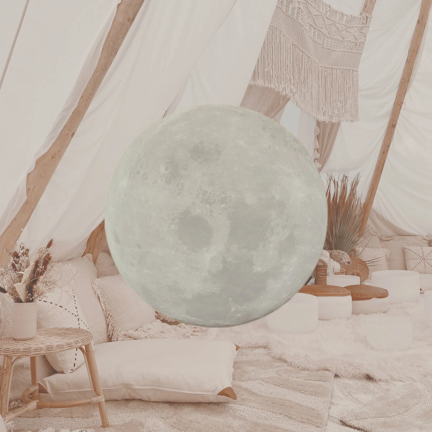 Friday, March 13th, Venice Healing Haven