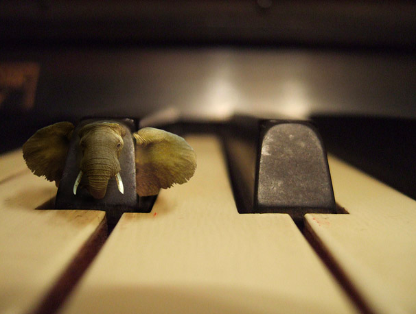 The Elephant on the Table A pianist confesses her injuries June 2009
